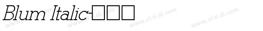 Blum Italic字体转换